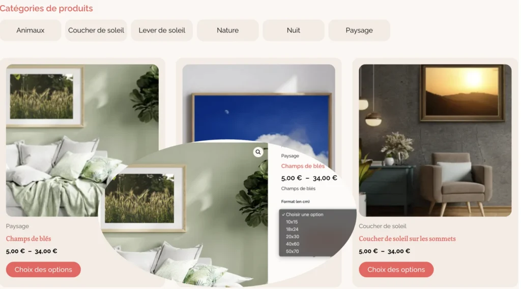 extrait d'une boutique e-commerce